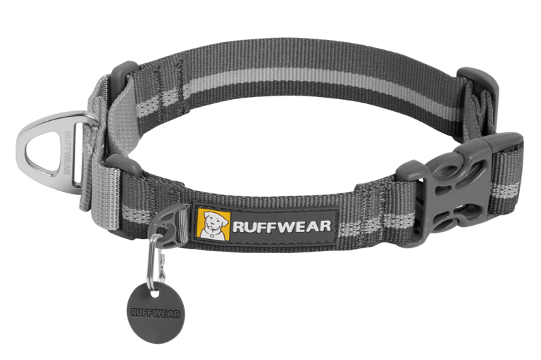Web Reaction™ Martingale Dog Collar With Buckle